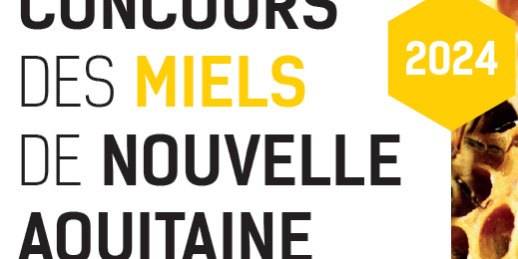 Image concours 24 BD